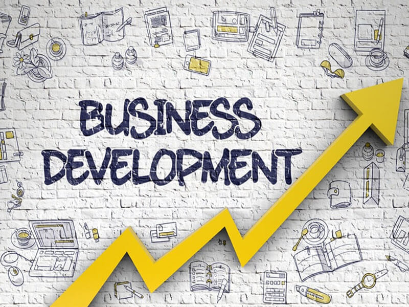 Business Development Techniques course