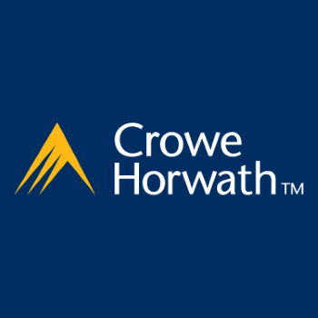 Cyber Security Consultant