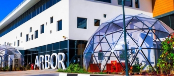 How Environmental Education Shapes Student Thinking at Arbor School